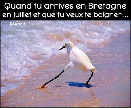 Lancons l'operation secrete...code "moules Frites" Humour10