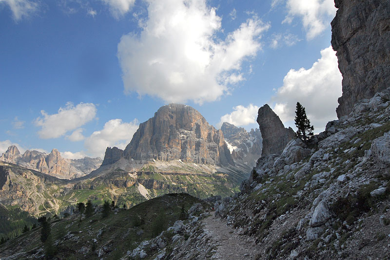 Quelques nigritelles d'Autriche et des Dolomites - Page 2 Jlr_9415