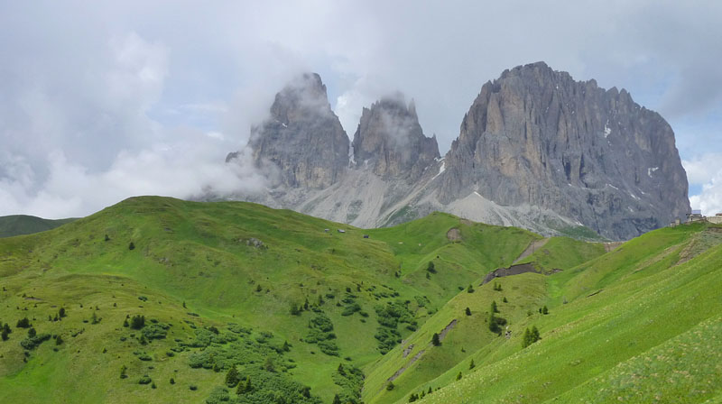 Quelques nigritelles d'Autriche et des Dolomites - Page 2 P1160111