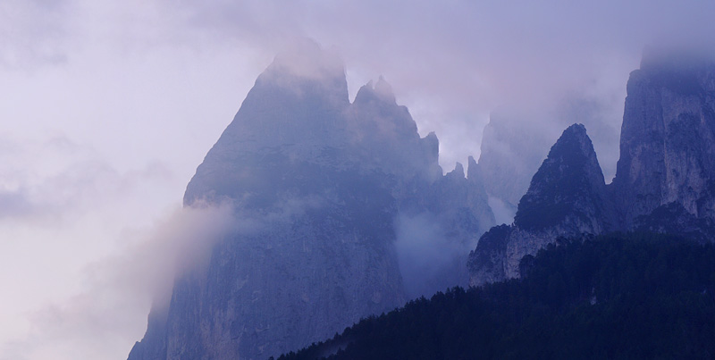 Quelques nigritelles d'Autriche et des Dolomites - Page 2 Panora15