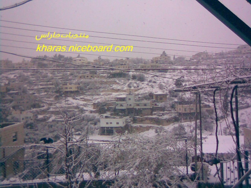 صور الثلوج في خاراس ... منطقة واد العرب 15821510