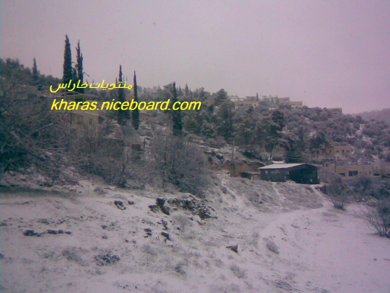 صور الثلوج في خاراس ... منطقة واد العرب 15821511
