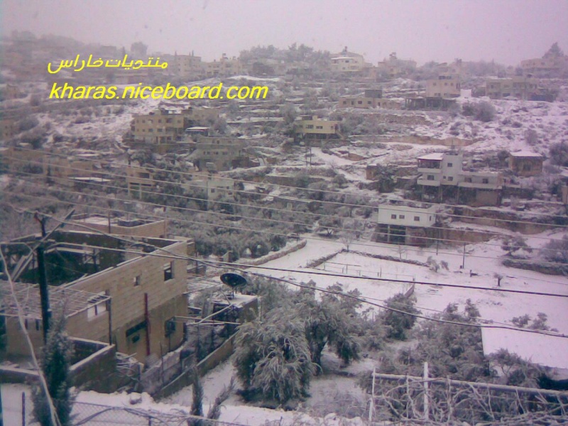 صور الثلوج في خاراس ... منطقة واد العرب 15821512