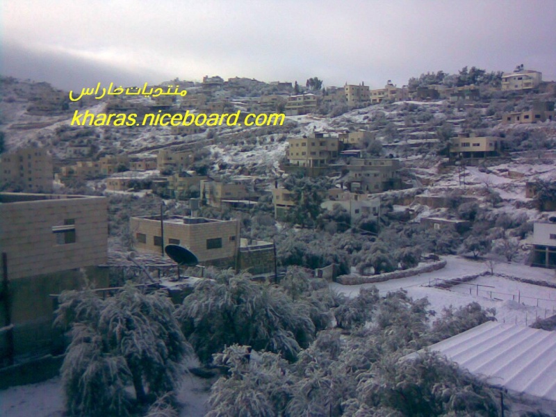 صور الثلوج في خاراس ... منطقة واد العرب 15821516