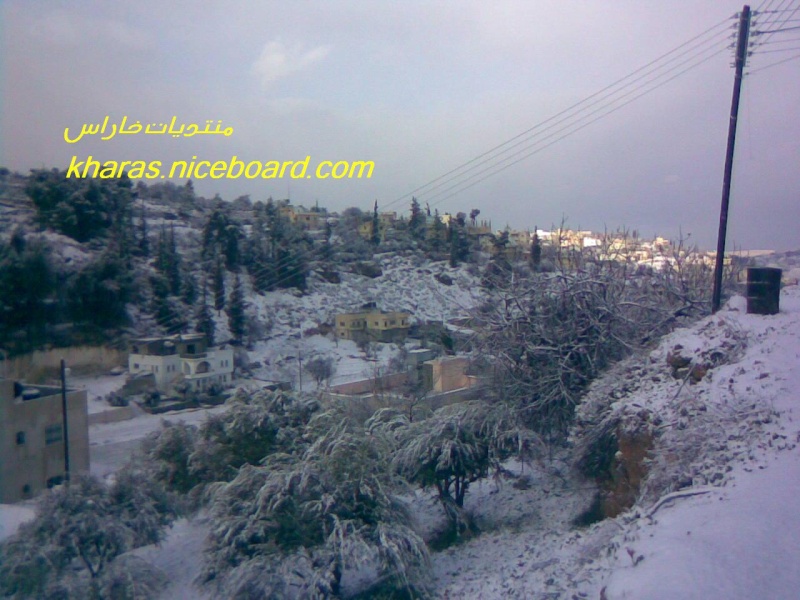 صور الثلوج في خاراس ... منطقة واد العرب 15821517
