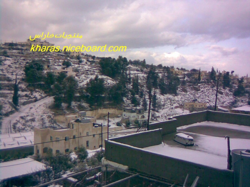 صور الثلوج في خاراس ... منطقة واد العرب 15821519