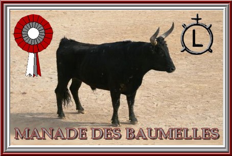 PETIT MONTAGE ECUSSON Baumel10