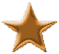 bronze bronze
