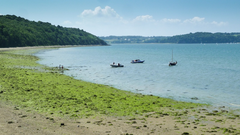 1er rasso land and boat (Estuaire de la Rance sous St Malo) - Page 5 06072018