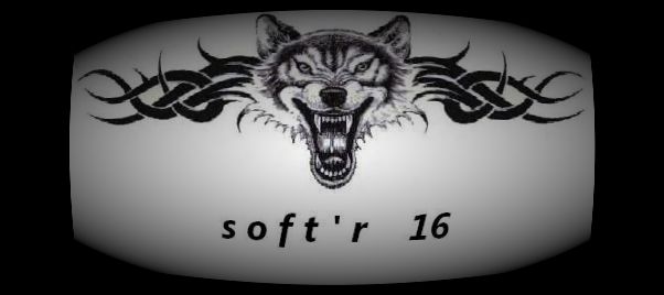 SOFT R 16