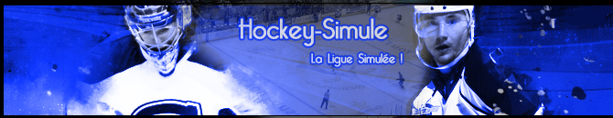 Ligue de simulation mondiale