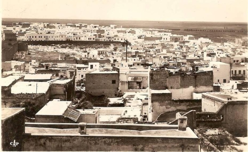 Meknès, la Ville Ancienne et les 2 Mellahs - 1 - Page 23 Les_2_10