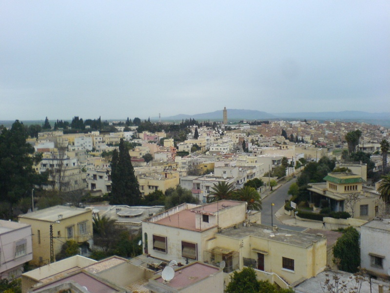 Meknès, la Ville Ancienne et les 2 Mellahs - 3 - Page 6 Les_to10