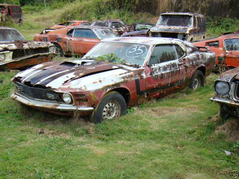 mustang - 103 mustang pour 950 000$ sur Ebay 71ce_310