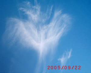 The amazing beauty of Sylphs. Cloud_10