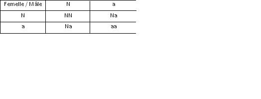 La génétique Tablea16