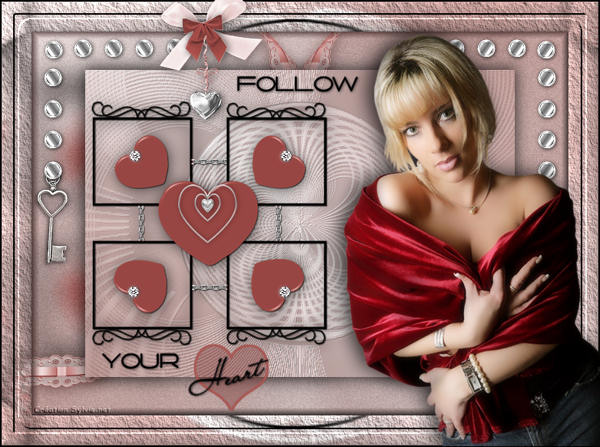 Follow your heart Virgin20