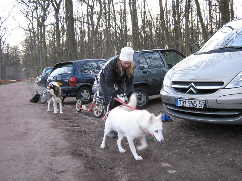 Entraînement et baptême... Img_0210