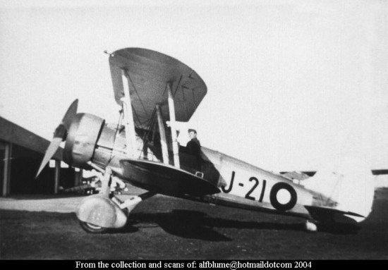 Gloster Gauntlet MkI danois Gauntl11