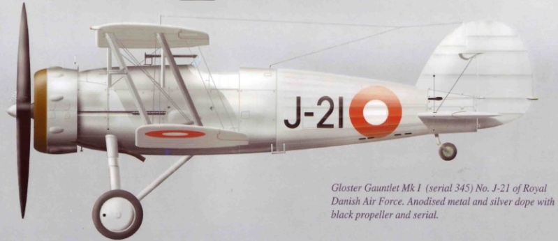 Gloster Gauntlet MkI danois Gauntl12