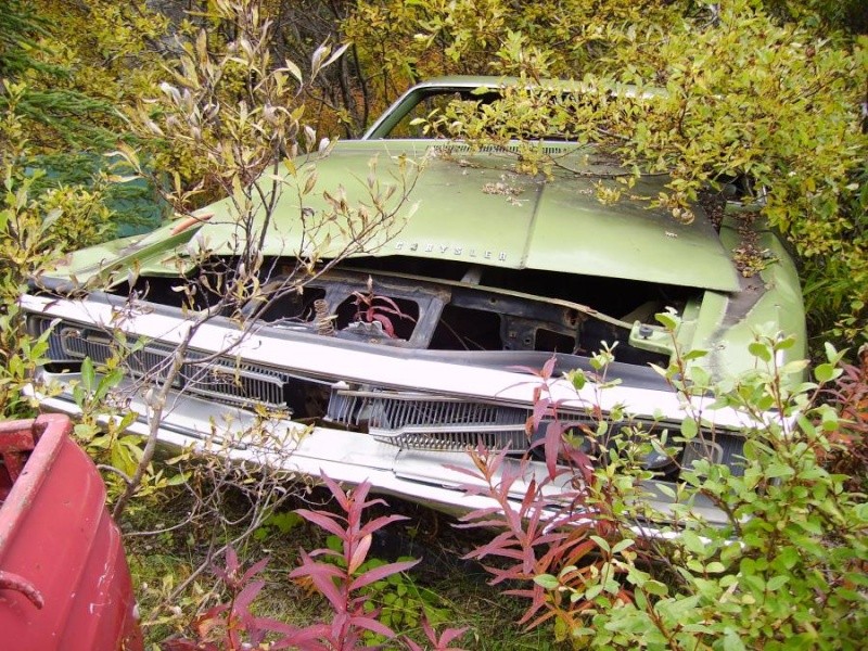 photos de cours a scrap Chrysl10