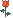 ورده ورده