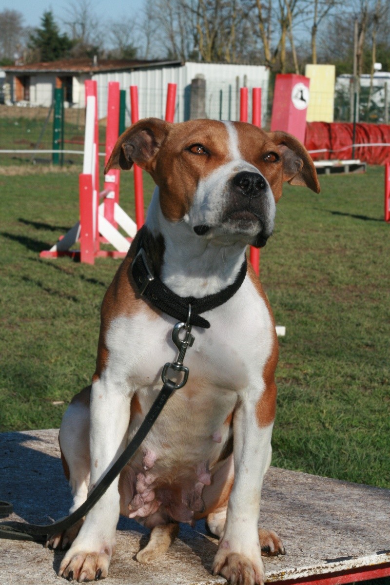 Athena, staff 2 ans LOF (Bordeaux) Img_1410