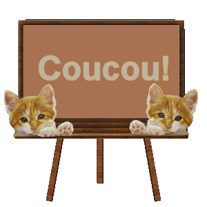 mon chat gribouille Coucou39