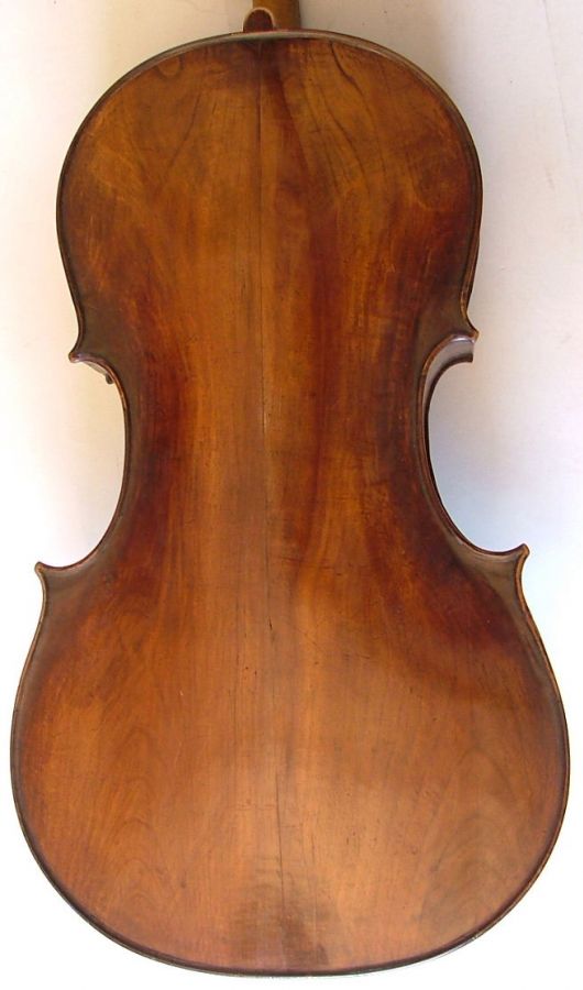 Fondo de lamo Cello10