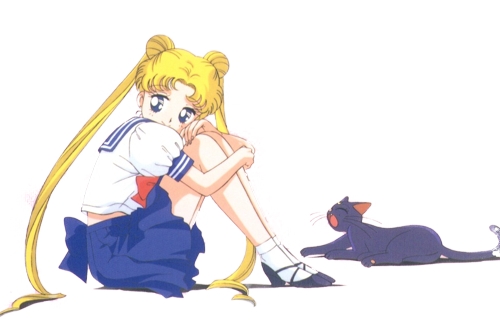 (le net) image Bunny/ Sailor Moon / Princesse Srnity 10944810