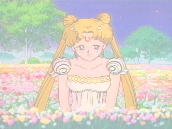(le net) image Bunny/ Sailor Moon / Princesse Srnity 11320810