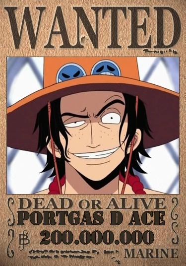 Portgas D Ace Portga10