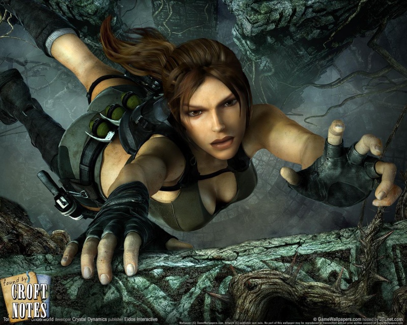 Tomb Raider 10511010