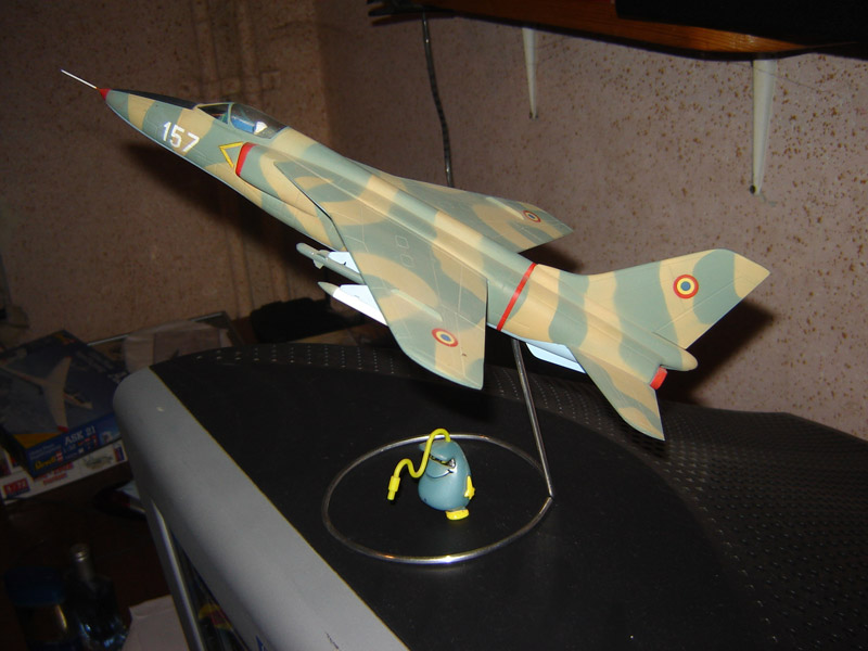 Modele de avion - 2008 Dsc03310