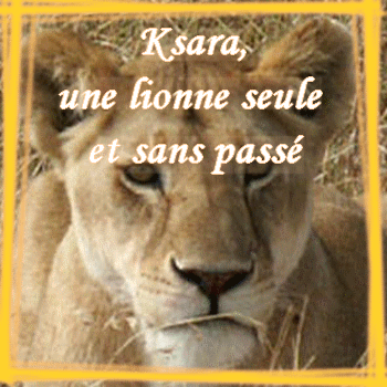 Ksara (deuxieme perso) Lionne10