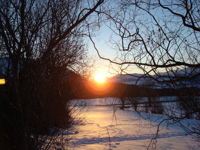 Concours photo du mois de février! Dsc00029