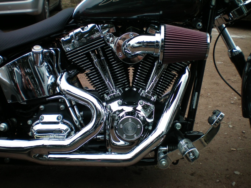 Harley Davidson 100_0114