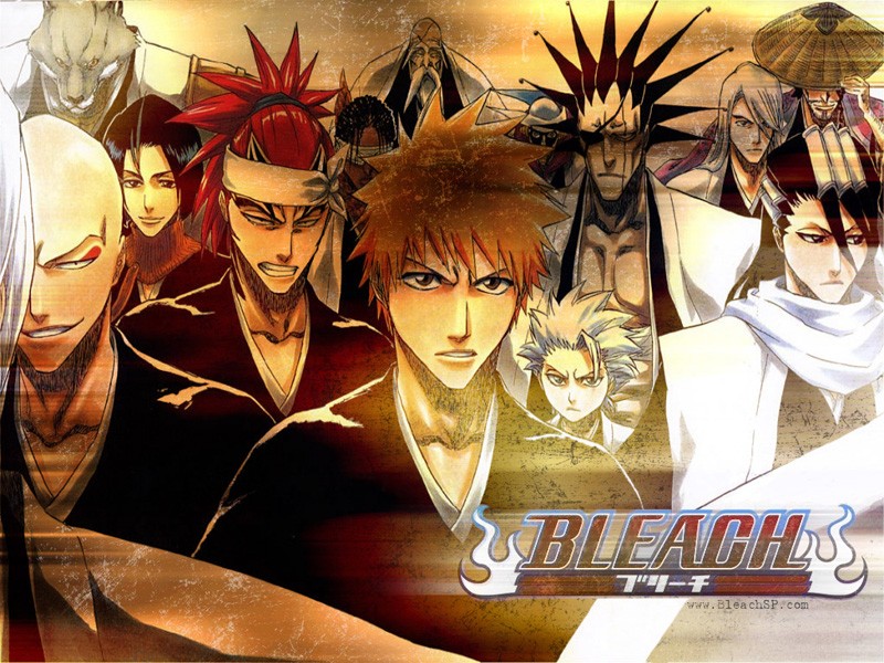 Bleach : les shinigami Bleach11