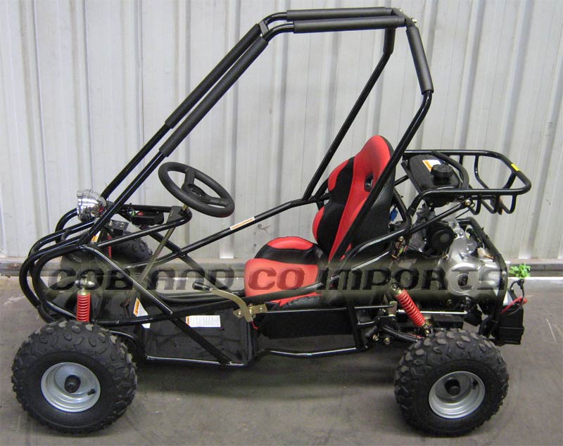 FS - 110cc Dune Buggy Go11