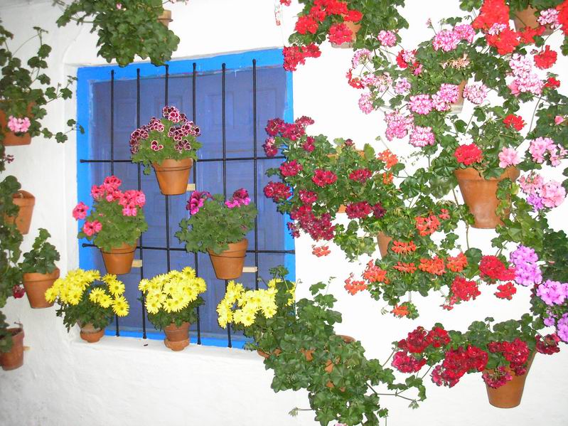 UN PATIO LLENO DE FLORES