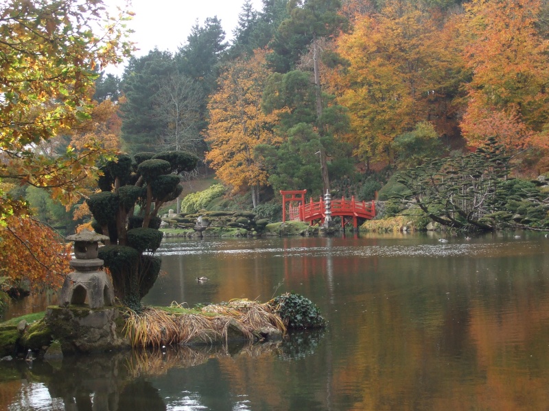 le parc japonais de maulvrier Vacanc21