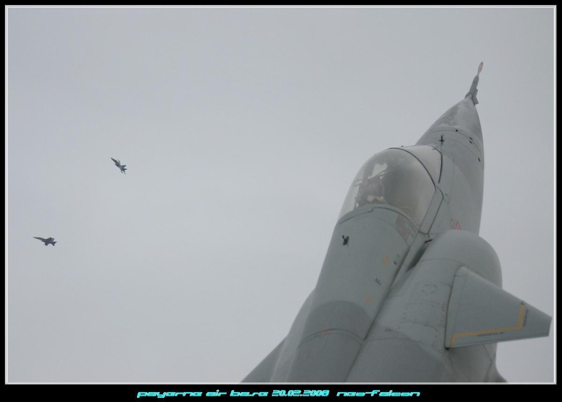20.02.2008 --  Flying in the rain Img_4011