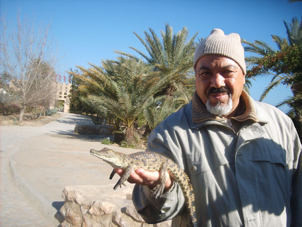Visite au Parc des crocodiles à Jerba Compos10
