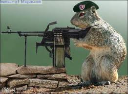  dimanche 19 aout 2012. DELTA FORCE  CONTRE BIO TERRORISTE . Marmot10