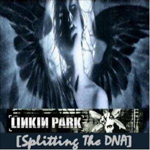 Linkin Park [ Discografia - Extras] 2° parte Dna10