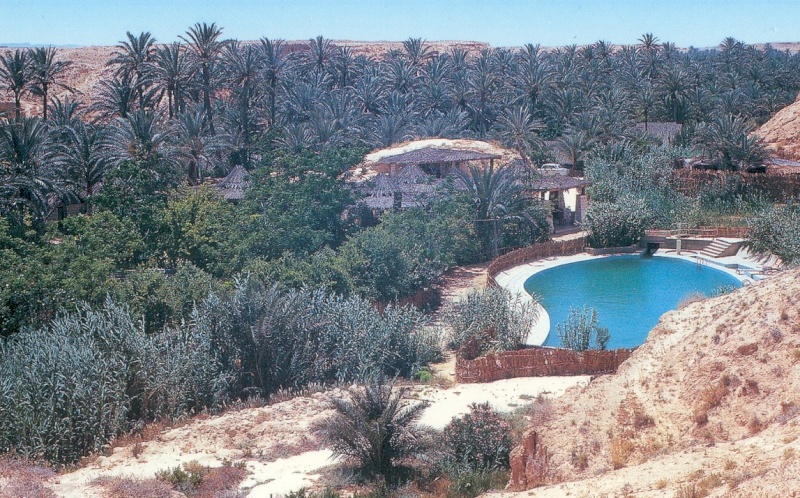 paradis  perdu    oasis chenini 410