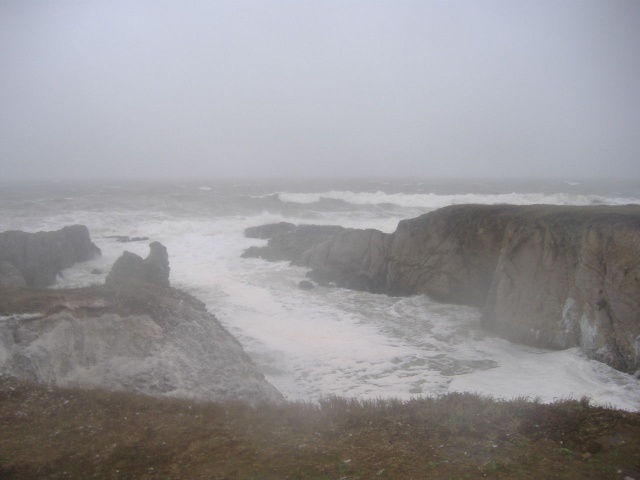 Tempête du 15 janvier 2008 Tempet10