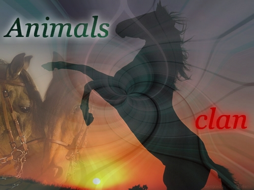 //Animals Clan// Cheval11