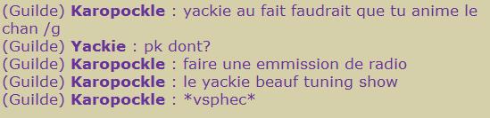 Screen en folie Yackie10