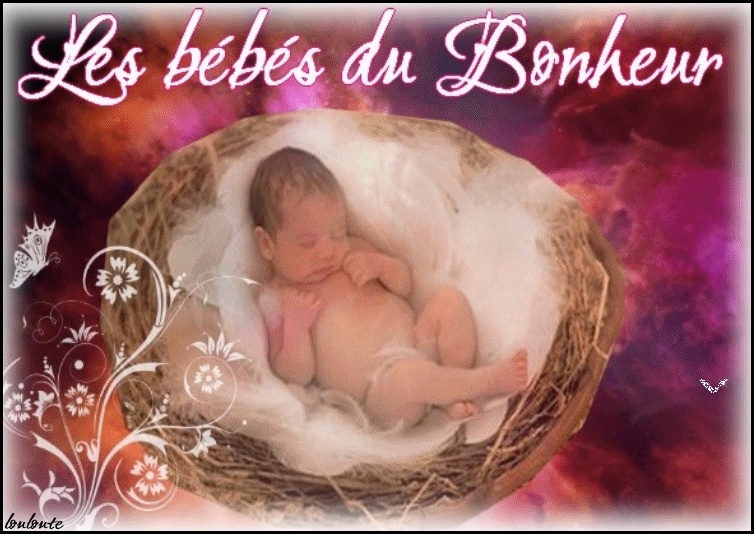nos bébés du bonheur - Portail